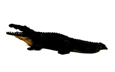 400x251 Free Shipping Mojo Fun 387120 Great White Shark Sealife Model