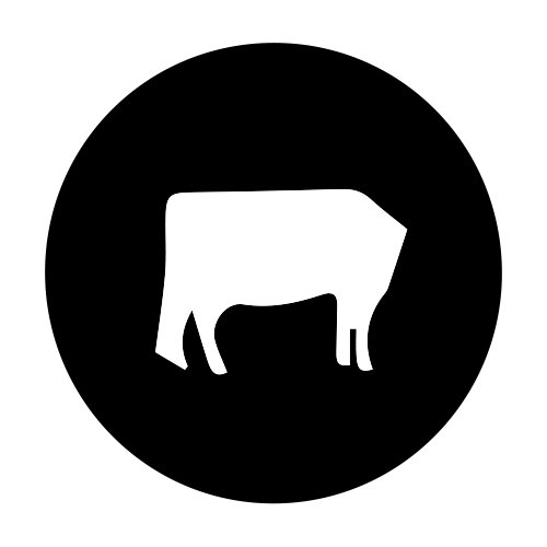 500x500 Tyga Ft. Young Thug