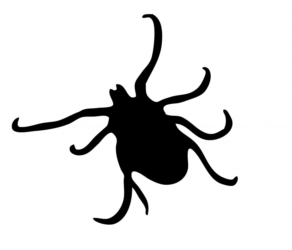 1024x878 Lyme Disease New Estimates From Cdc Reveal Estimated 300,000