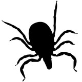 160x160 Tick Silhouette Vector Graphics Stock Image And Royalty Free