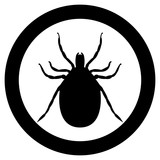 160x160 Vector Image Of A Silhouette Of A Tick On A White Background