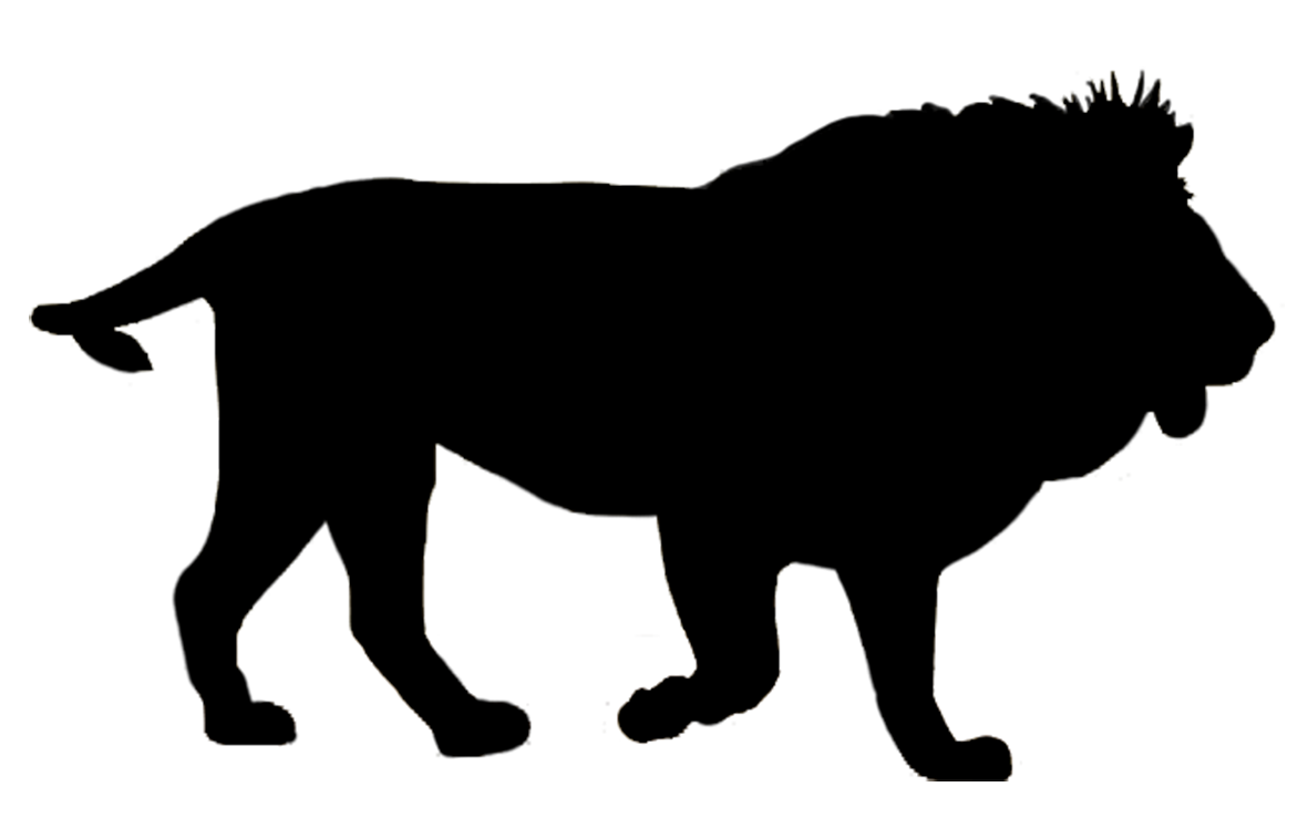 1181x739 Tiger Clipart Shadow