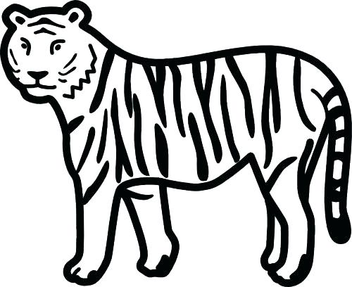 500x408 Tiger Outline Drawing Many Interesting Silhouette Tiger Tattoo