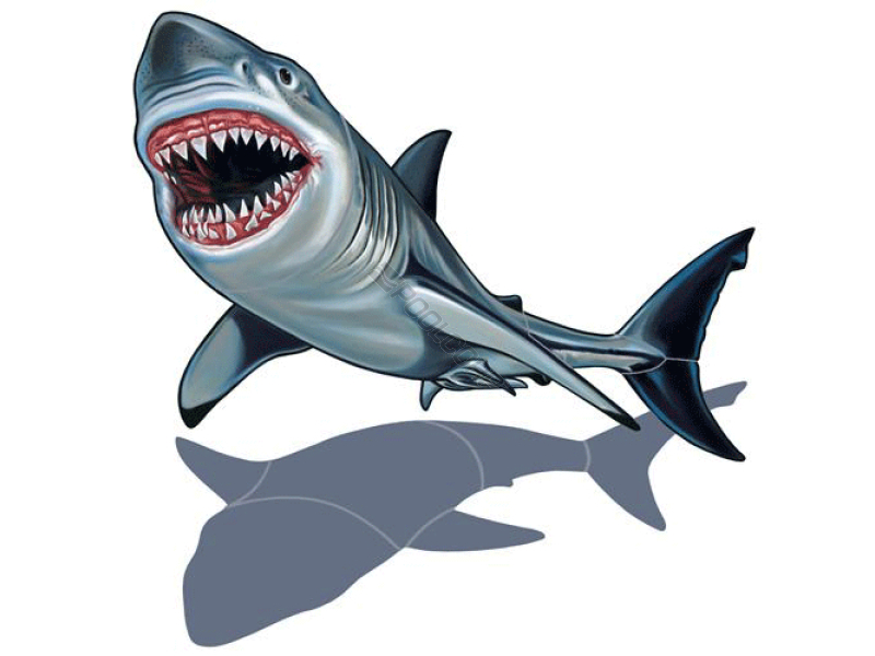 800x600 Great White Shark Clipart Mosaic