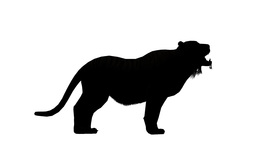 256x144 Tiger Open Mouth Roar Sketch Silhouette,wildlife Animals Habitat