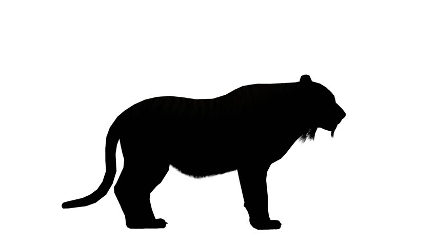 852x480 Tiger Running Sketch Silhouette,wildlife Animals Habitat. Cg 02098