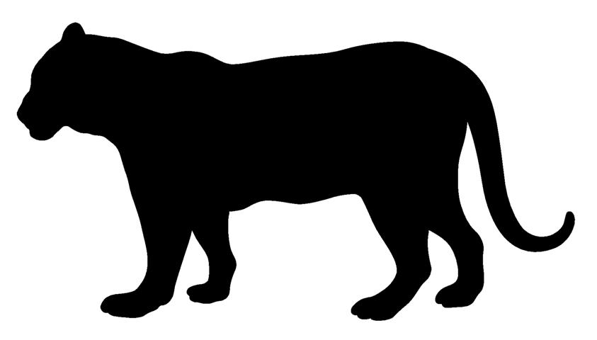 843x480 Tiger Silhouette 3 Decal Sticker