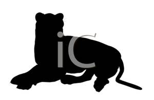 300x195 Of A Tiger Lying Down