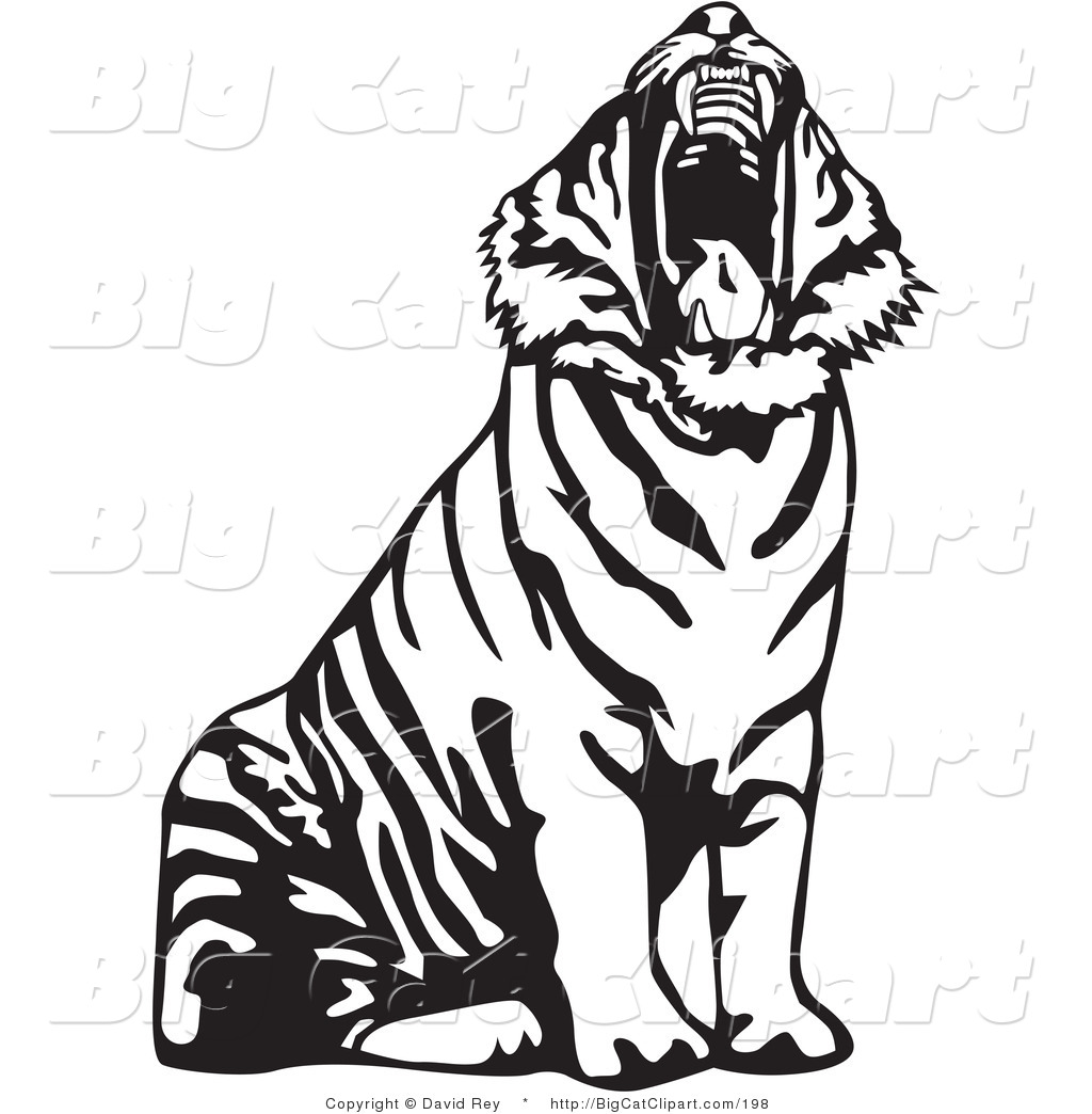 1024x1044 Big Cat Vector Clipart Of A Clipart Panda