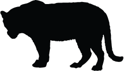 246x141 Hwr 04 Tiger Silhouettes Silhouettes Of Hwr 04 Tiger Free