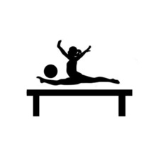 220x220 Gymnastics Silhouette Promotion Shop For Promotional Gymnastics