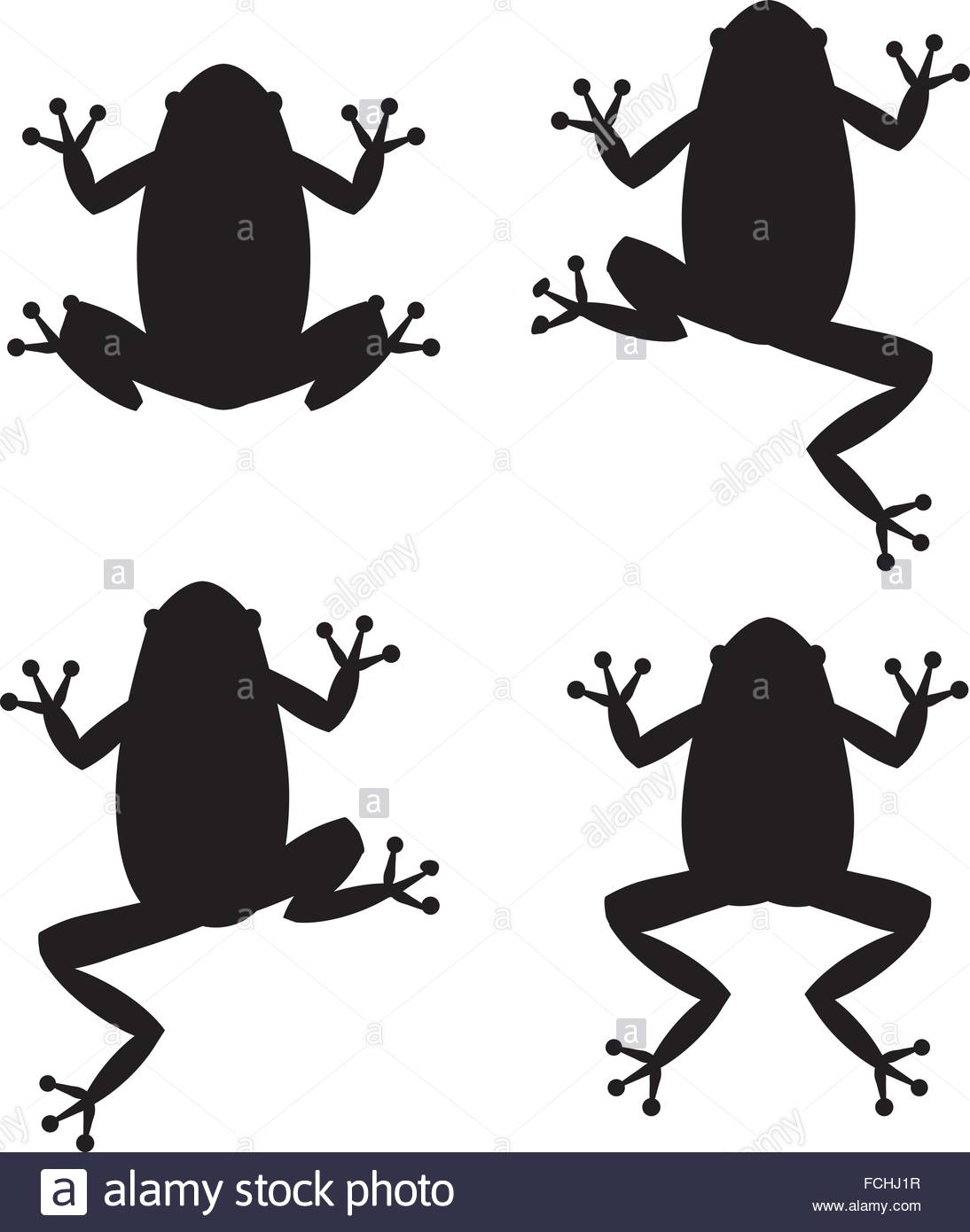 1094x1390 Set Of Frog Silhouettes On White Background, Vector Stock Vector