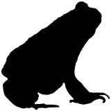 160x160 Toad Silhouette Vector Graphics Stock Image And Royalty Free
