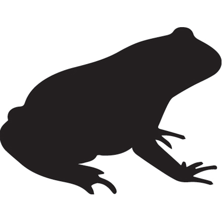 450x450 Frog.jpg