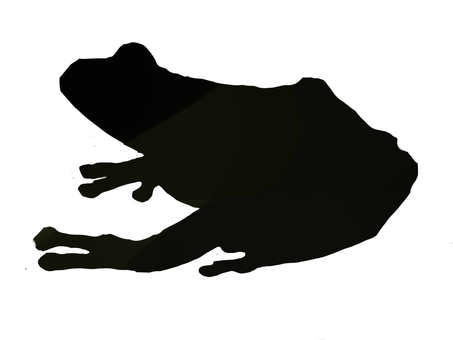 453x340 Free Cliparts Silhouette, Female, Fashion