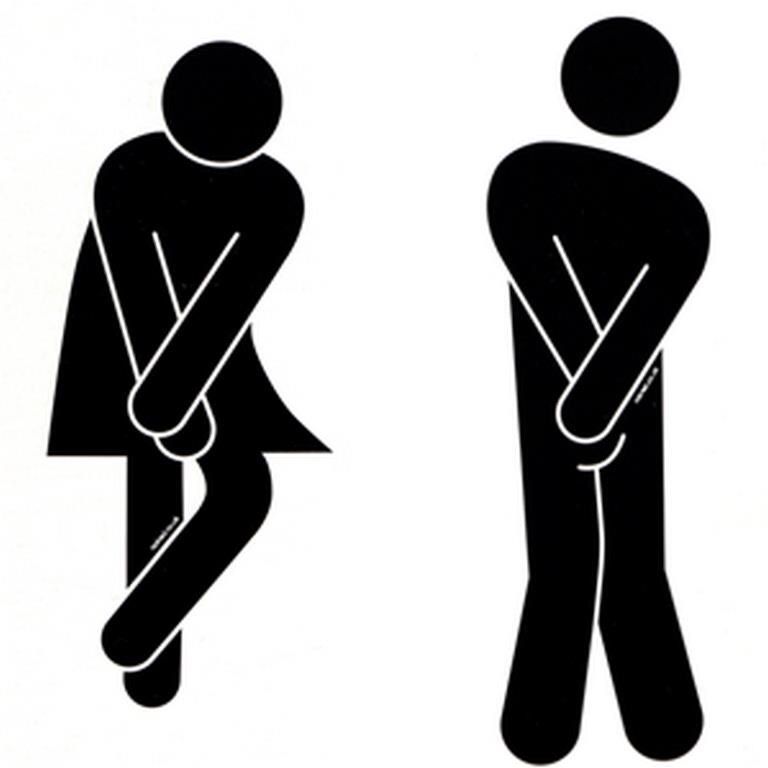 768x768 Para Colocar Na Porta Do Banheiro Toilet