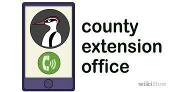 342x184 3 Easy Ways To Get Rid Of Pigeons