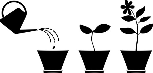 498x240 Search Photos Silhouette Of Plant