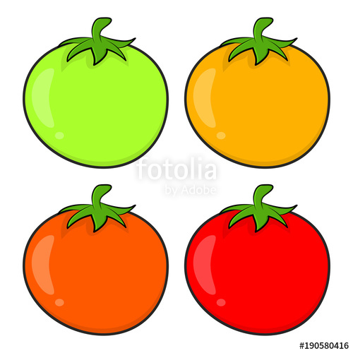 500x500 Tomato Outline For Colouring Book Isolated On White Background