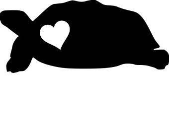 340x270 Tortoise Decal Etsy