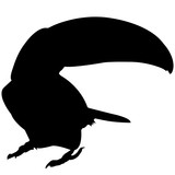160x160 Toucan Silhouette Vector Graphics Stock Image And Royalty Free