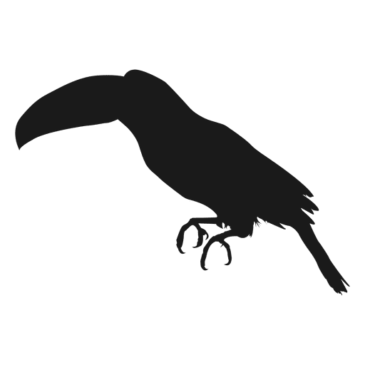 512x512 Toucan Silhouette