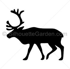 236x234 Toucan Silhouette Clip Art. Download Free Versions Of The Image