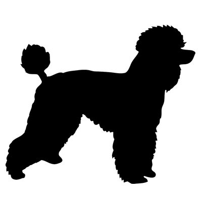 Toy Poodle Silhouette at GetDrawings | Free download