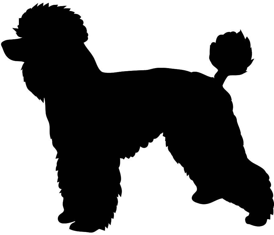 900x773 Silhouette Clipart Poodle