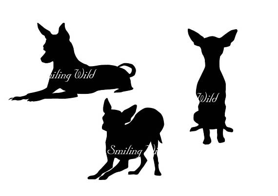 570x403 Toy Terrier Svg Silhouette Russian Toy Terrier Clipart Dog