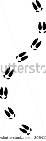 153x470 Moose Clipart Moose Tracks
