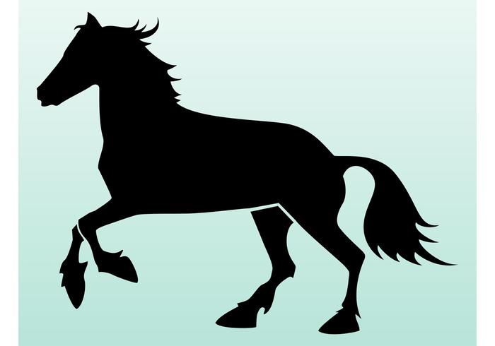 700x490 Horse Silhouette