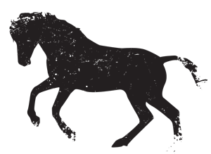 300x219 Sedona Jeep Tours, Horseback Riding, And More