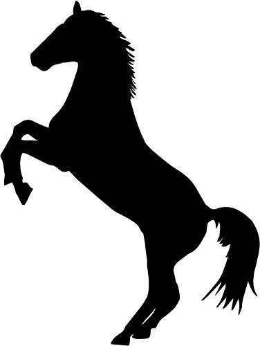 376x500 Horse Vinyl Car Van Trailer Sticker,decal, 4x4 16v