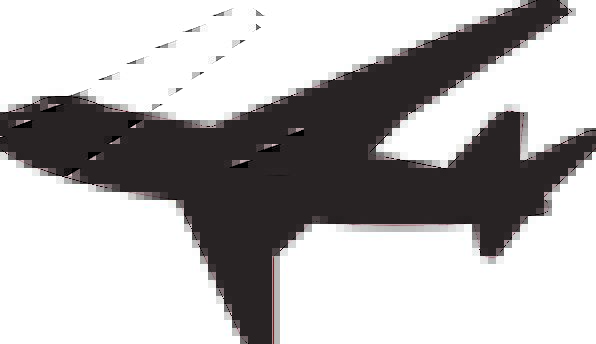 596x344 Airplane, Vacation, Outline, Travel, Flight, Aeronautical