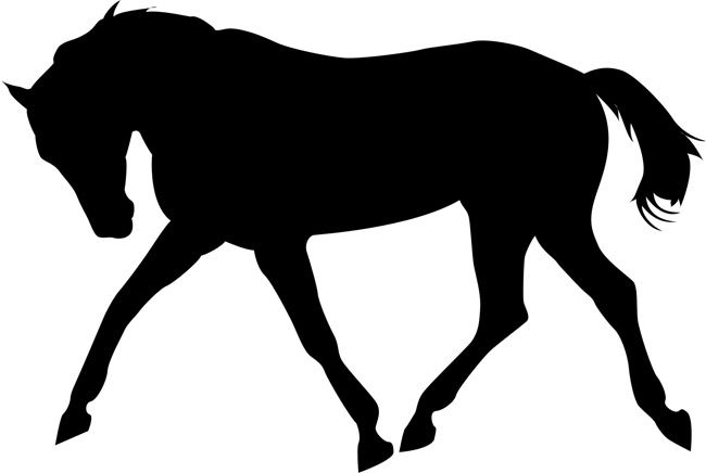 650x436 Caballo My Treasure Chest Mi De Tesoro