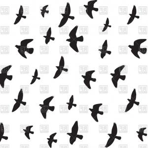 300x300 Photobird Flying Around A Tree Branch Createmepink