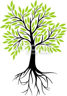 263x380 Decorative Tree Roots, Vector Art And Art Illustrations
