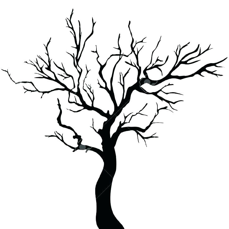 736x736 Tree Silhouette Black Stock Photos Images Pictures Straight Vector