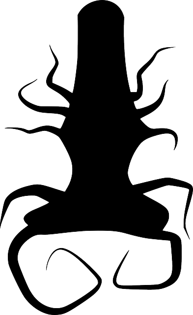 393x640 Black, Silhouette, Tree, Roots, Plant, Thing, Root