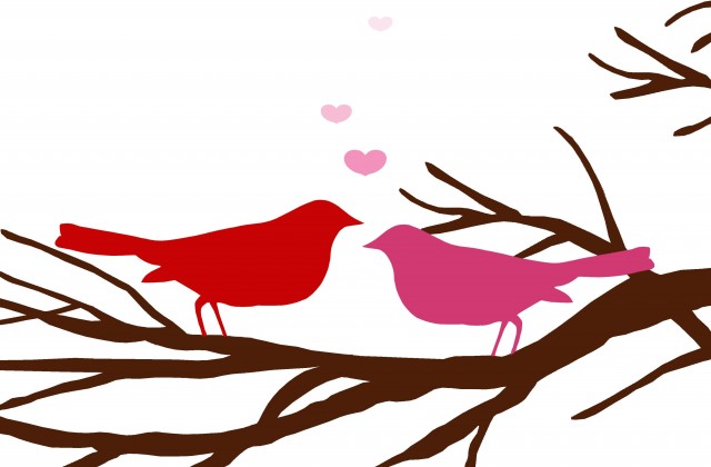 640x420 Tag For Love Bird Silhouette Birds In Tree Bird On Branch Clip
