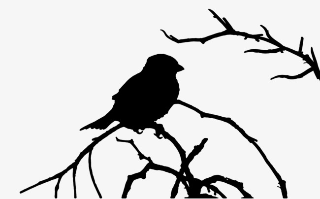 650x404 Bird Tree, Branches, Birds, Vector Png Image And Clipart For Free