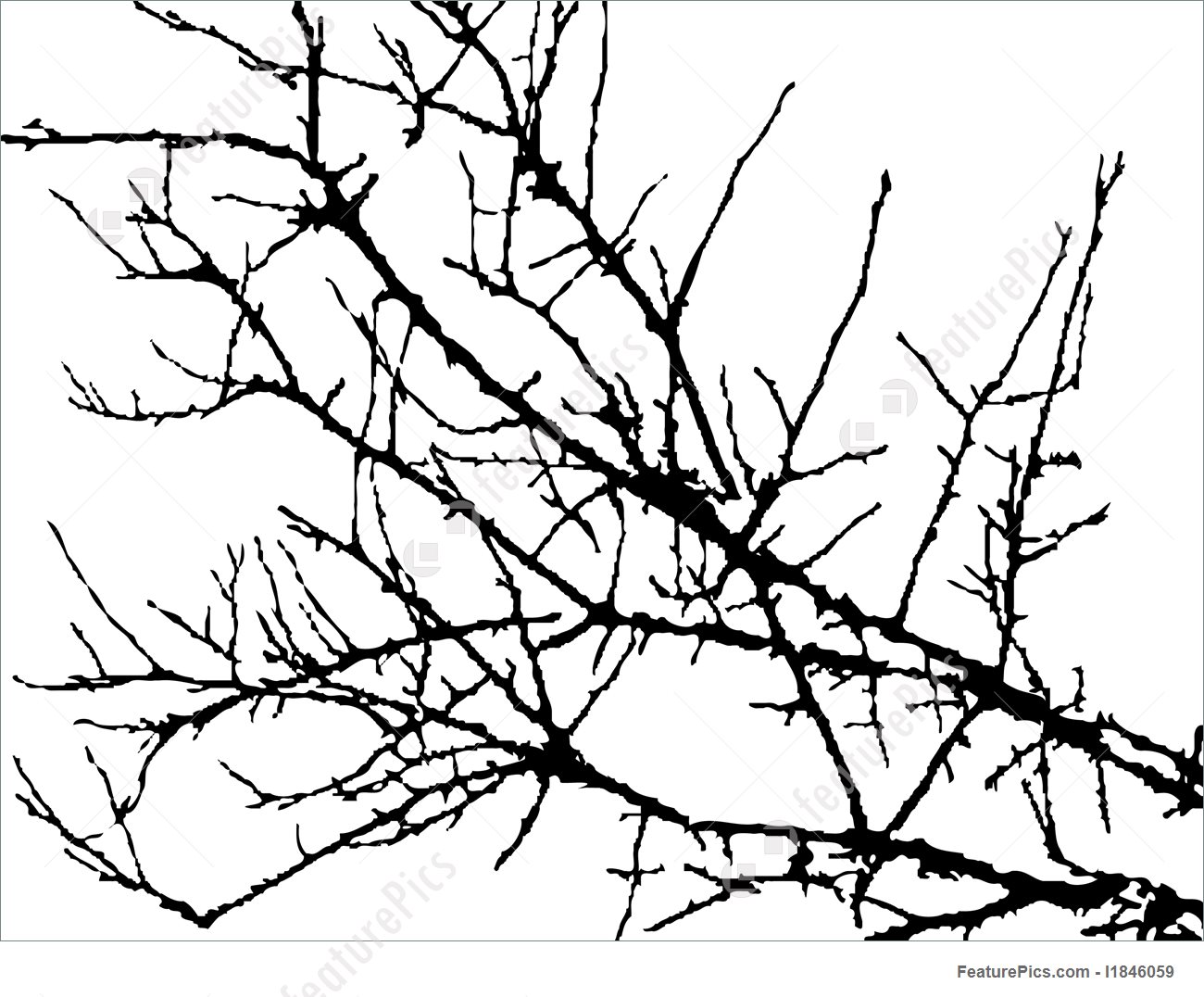 1300x1076 Illustration Of Silhouette Of Branches Of Tree