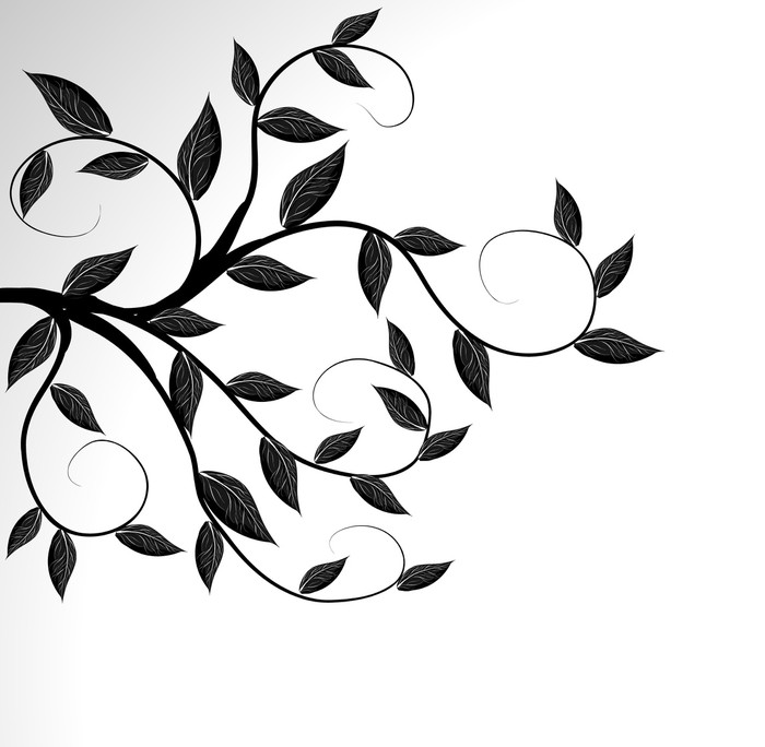 700x684 Vector Of A Tree Branch Silhouette Wall Mural We Live