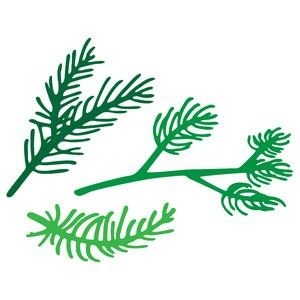 300x300 Pine Tree Branch Silhouette Simple Living Tree In The World Places