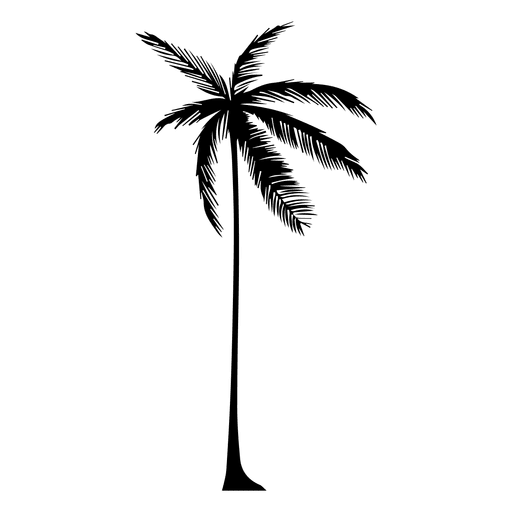 512x512 Silhouette Of A Palm Tree