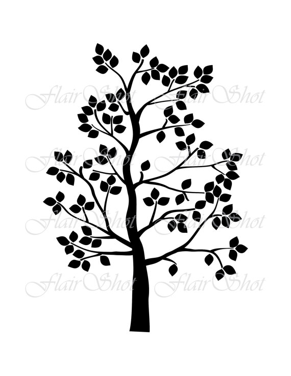 570x738 Digital Tree Clip Art Family Tree Clipart Silhouette Tree