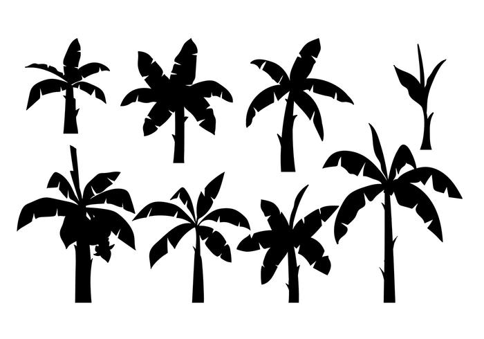 700x490 Banana Tree Silhouette Vector