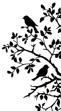 214x391 Best Photos Of Bird On Branch Silhouette Printable