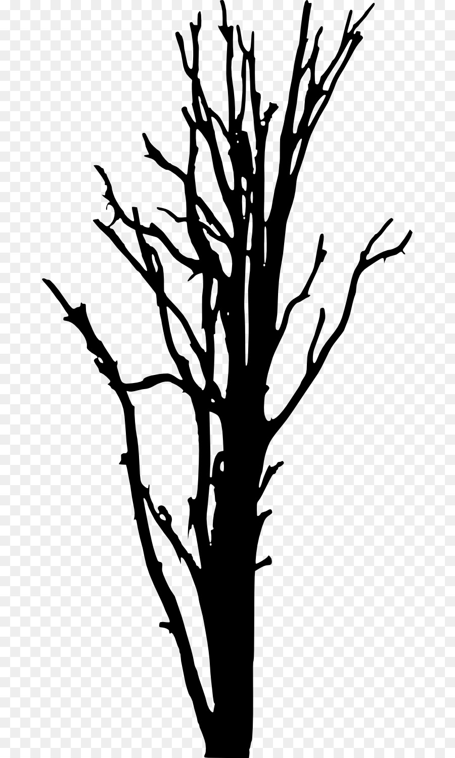 900x1500 Woody Plant Tree Silhouette Clip Art